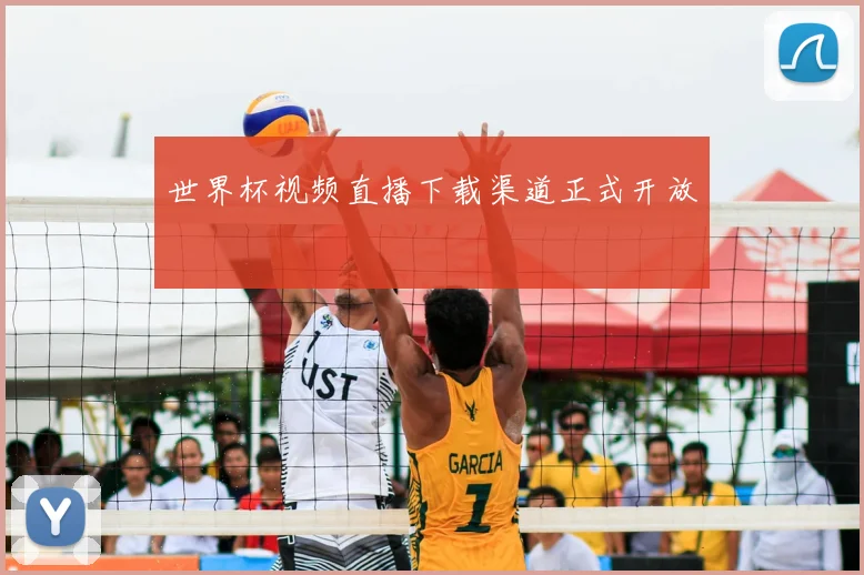 世界杯视频直播下载渠道正式开放