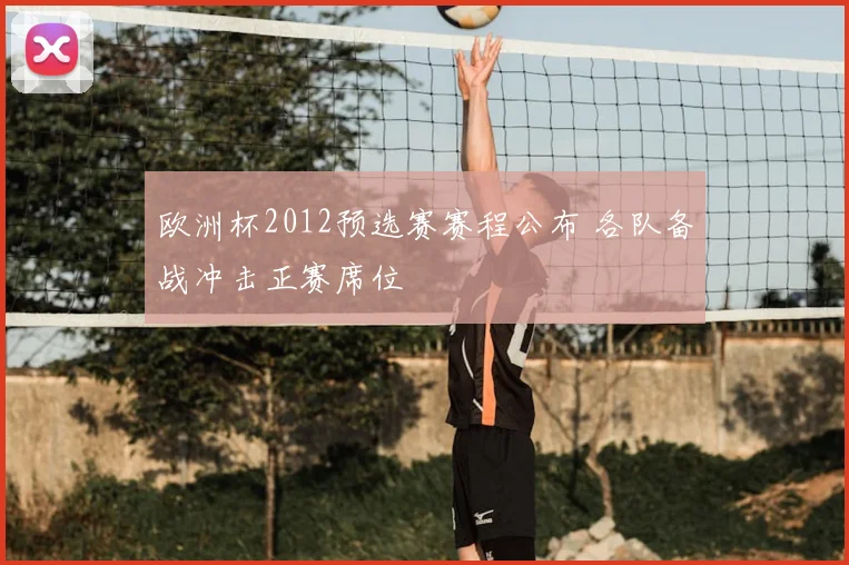欧洲杯2012预选赛赛程公布 各队备战冲击正赛席位