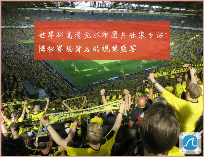 世界杯高清无水印图片独家专访：揭秘赛场背后的视觉盛宴