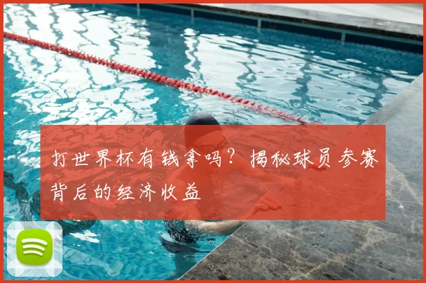打世界杯有钱拿吗？揭秘球员参赛背后的经济收益