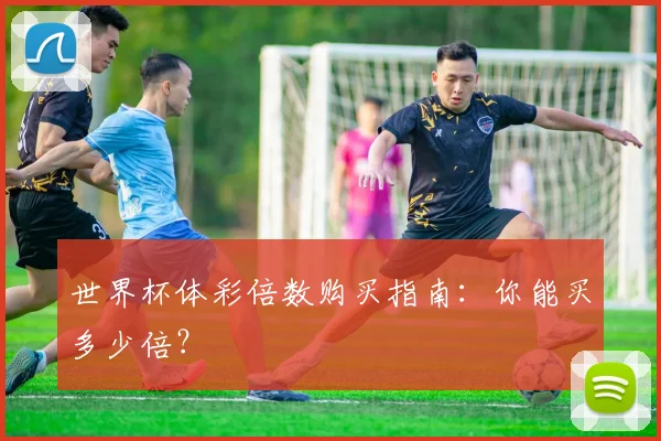 世界杯体彩倍数购买指南：你能买多少倍？