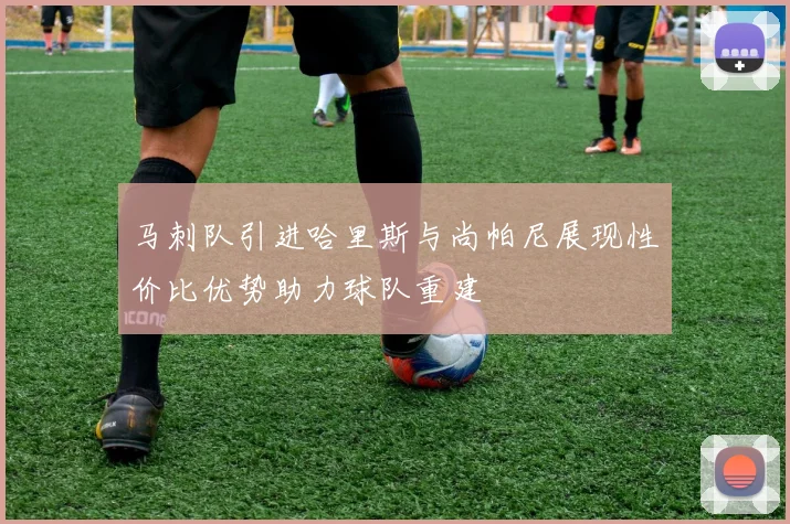 马刺队引进哈里斯与尚帕尼展现性价比优势助力球队重建
