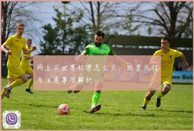 网上买世界杯票怎么买：购票流程与注意事项解析