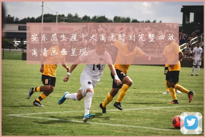 安东尼生涯十大高光时刻完整回放高清画面呈现