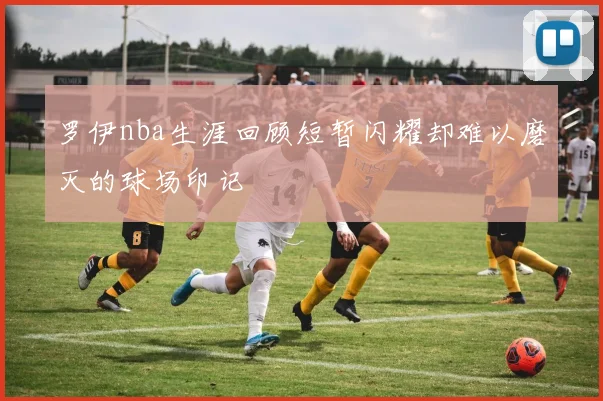 罗伊nba生涯回顾短暂闪耀却难以磨灭的球场印记