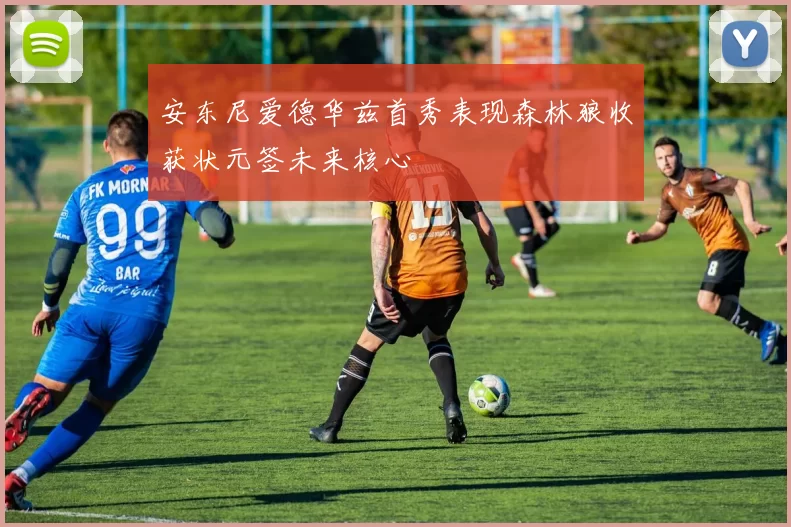 安东尼爱德华兹首秀表现森林狼收获状元签未来核心