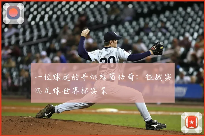 一位球迷的手机绿茵传奇：征战实况足球世界杯实录