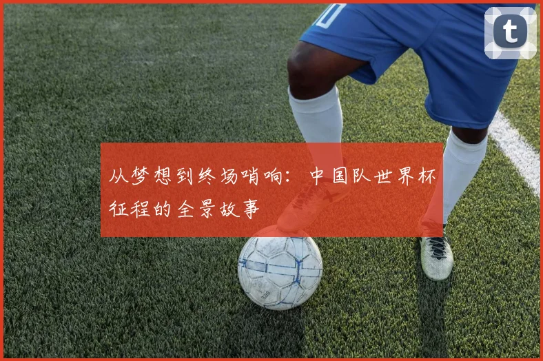 从梦想到终场哨响：中国队世界杯征程的全景故事