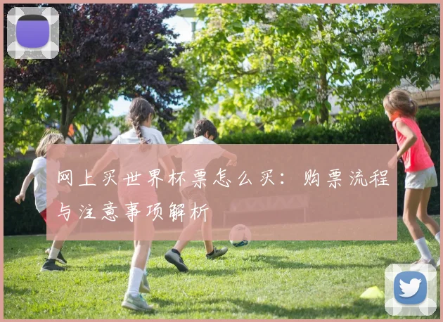 网上买世界杯票怎么买：购票流程与注意事项解析