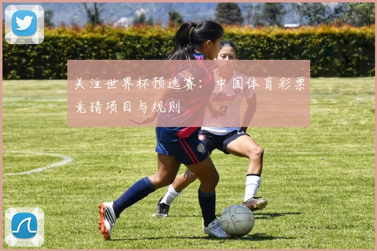 关注世界杯预选赛：中国体育彩票竞猜项目与规则