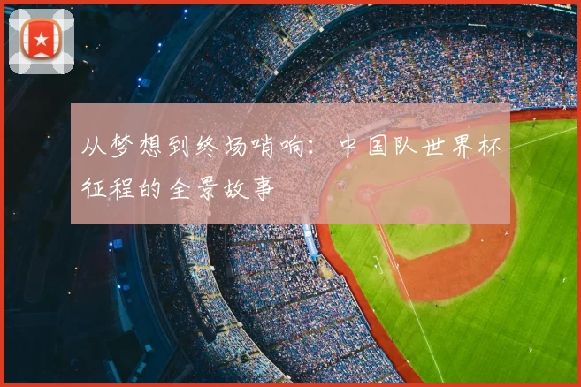 从梦想到终场哨响：中国队世界杯征程的全景故事